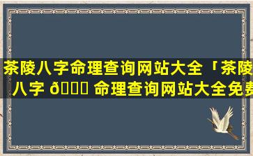 茶陵八字命理查询网站大全「茶陵八字 🍀 命理查询网站大全免费」